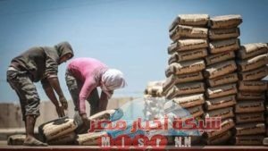 شبكه أخبار مصر ترصد لكم أسعار الأسمنت اليوم الجمعة ٢٦ يونيو 2020