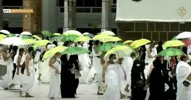 وصول جميع الحافلات